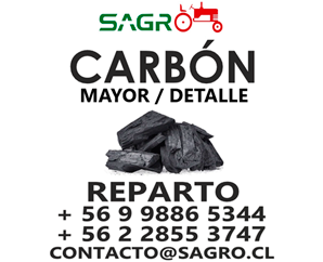 Reparto de carbón